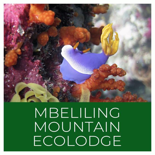 Mbeliling Mountain Ecolodge Indonesia